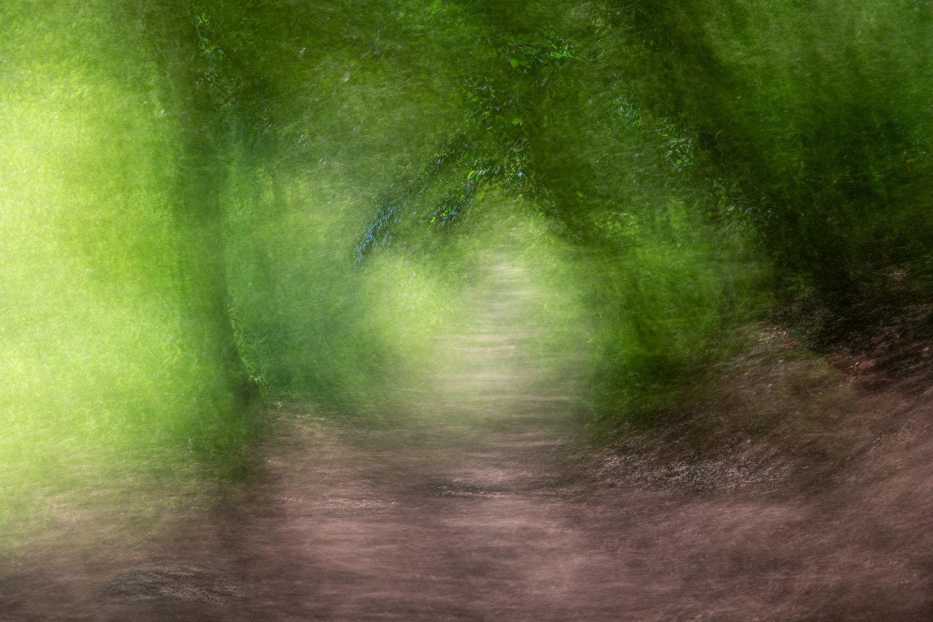 Landschaft / Natur